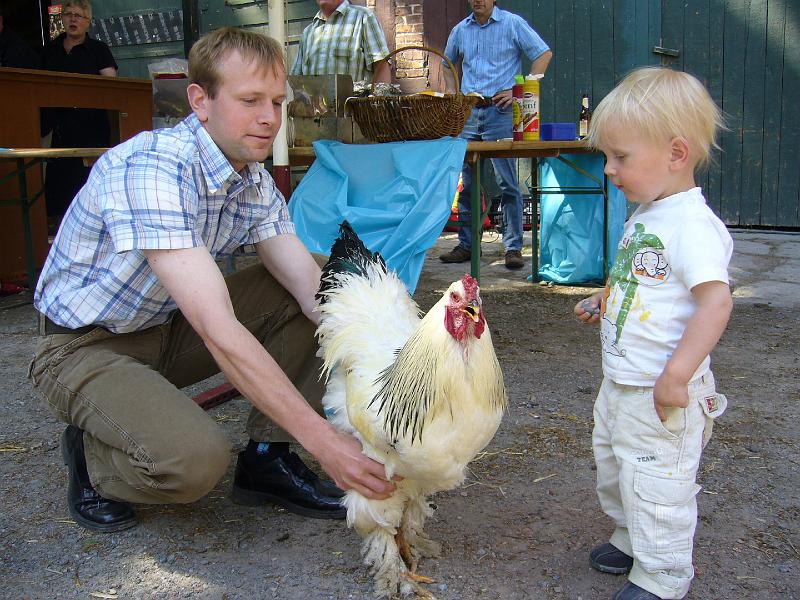 Haehnewettkraehen der Kreisjugend des Kreisverbandes Guetersloh 046.jpg - Hähnewettkrähen des Kreisverbandes Gütersloh in Langenberg auf dem Hofe Großelohmann